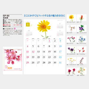 SP-80　花時間 1