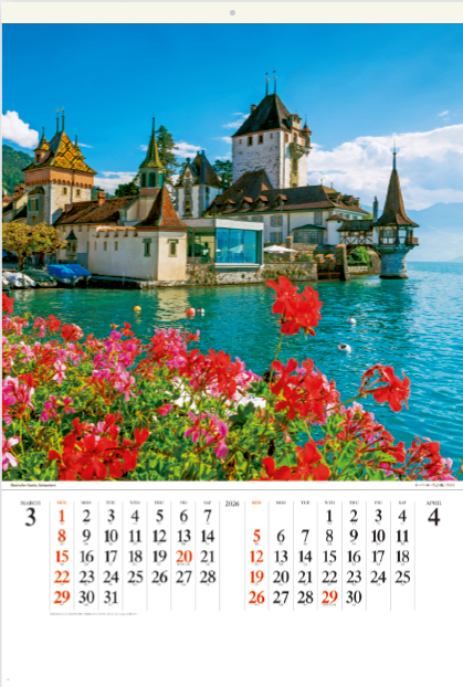 SP-95 フィルム ワイドヨーロッパ