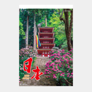 TD-501　トーハン・DX 日本 フィルム 2