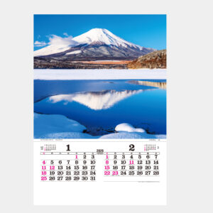 TD-501　トーハン・DX 日本 フィルム 1