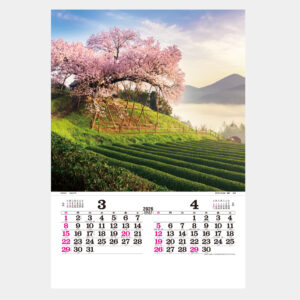 TD-502　トーハン・DX 日本の情景　フィルム 1