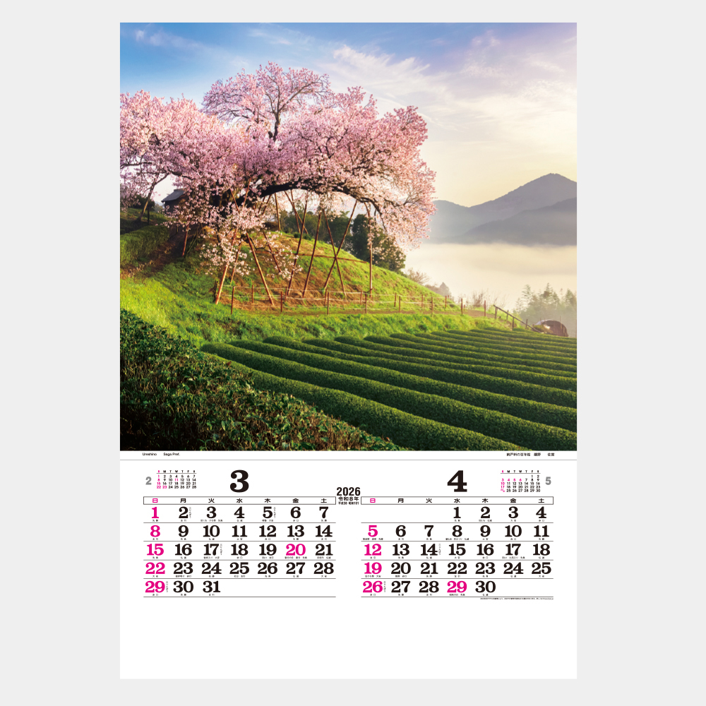 TD-502　トーハン・DX 日本の情景　フィルム 1