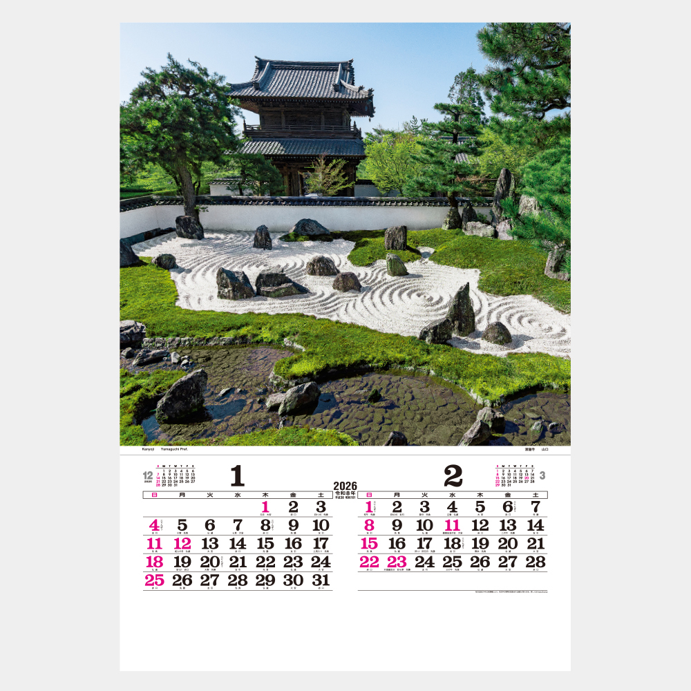 TD-510　トーハン・DX 庭 フィルム 1