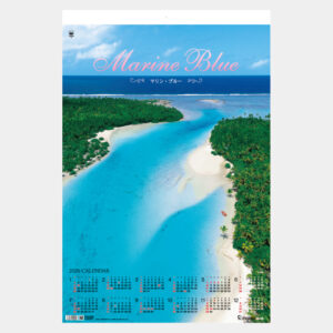 TD-527 マリンブルー フィルム 2