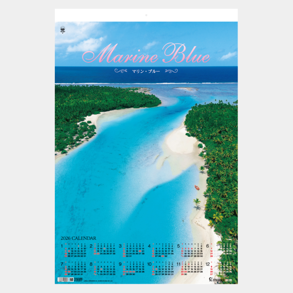 TD-527 マリンブルー フィルム 2