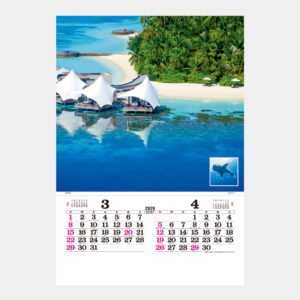 TD-527 マリンブルー フィルム 1