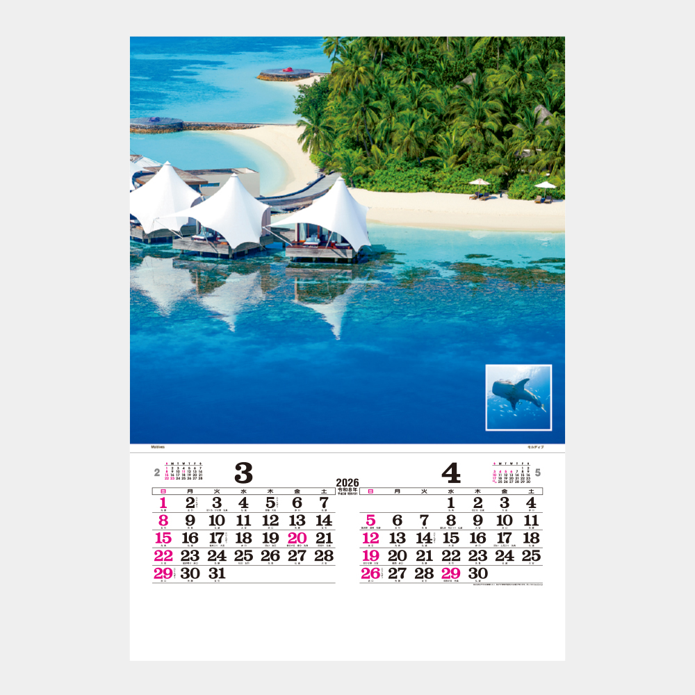 TD-527 マリンブルー フィルム 1