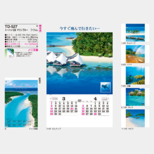 TD-527 マリンブルー フィルム 3