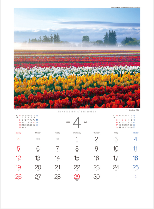 TD-651 インプレッション・オブ・ザ・ワールド