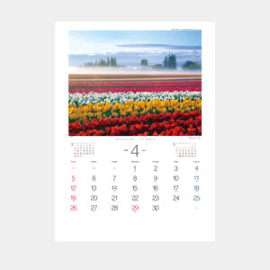 TD-651　インプレッション・オブ・ザ・ワールド 1