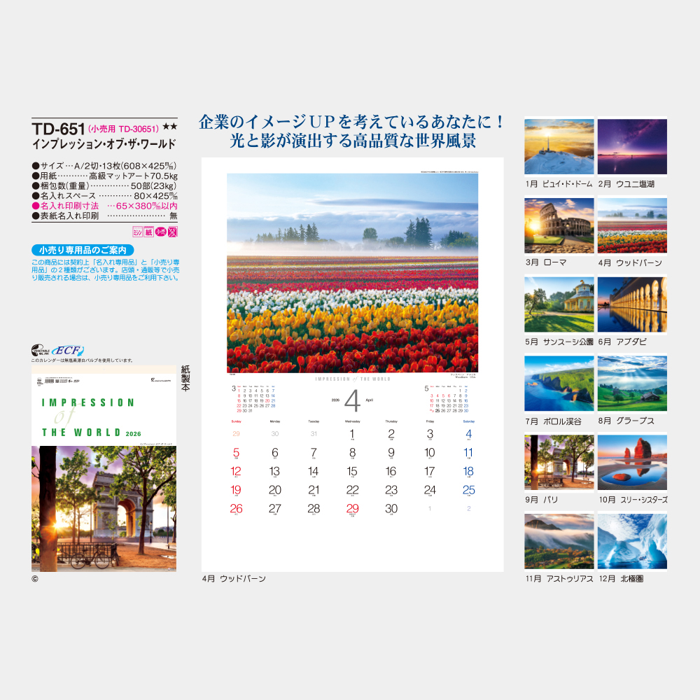 TD-651　インプレッション・オブ・ザ・ワールド 3