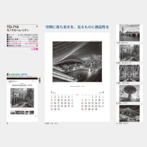 TD-710　モノクローム・シティ 3