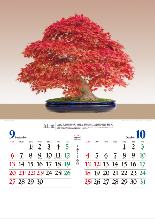 TD-721 日本のこころ（盆栽）