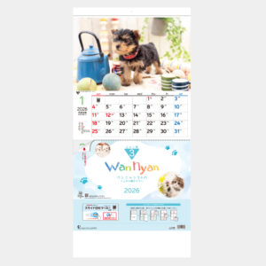 TD-775　ワンニャン3ヶ月 上から順タイプ 2