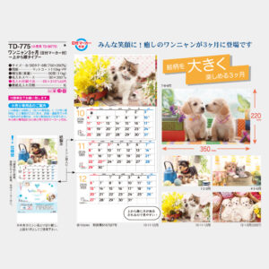TD-775　ワンニャン3ヶ月 上から順タイプ 3
