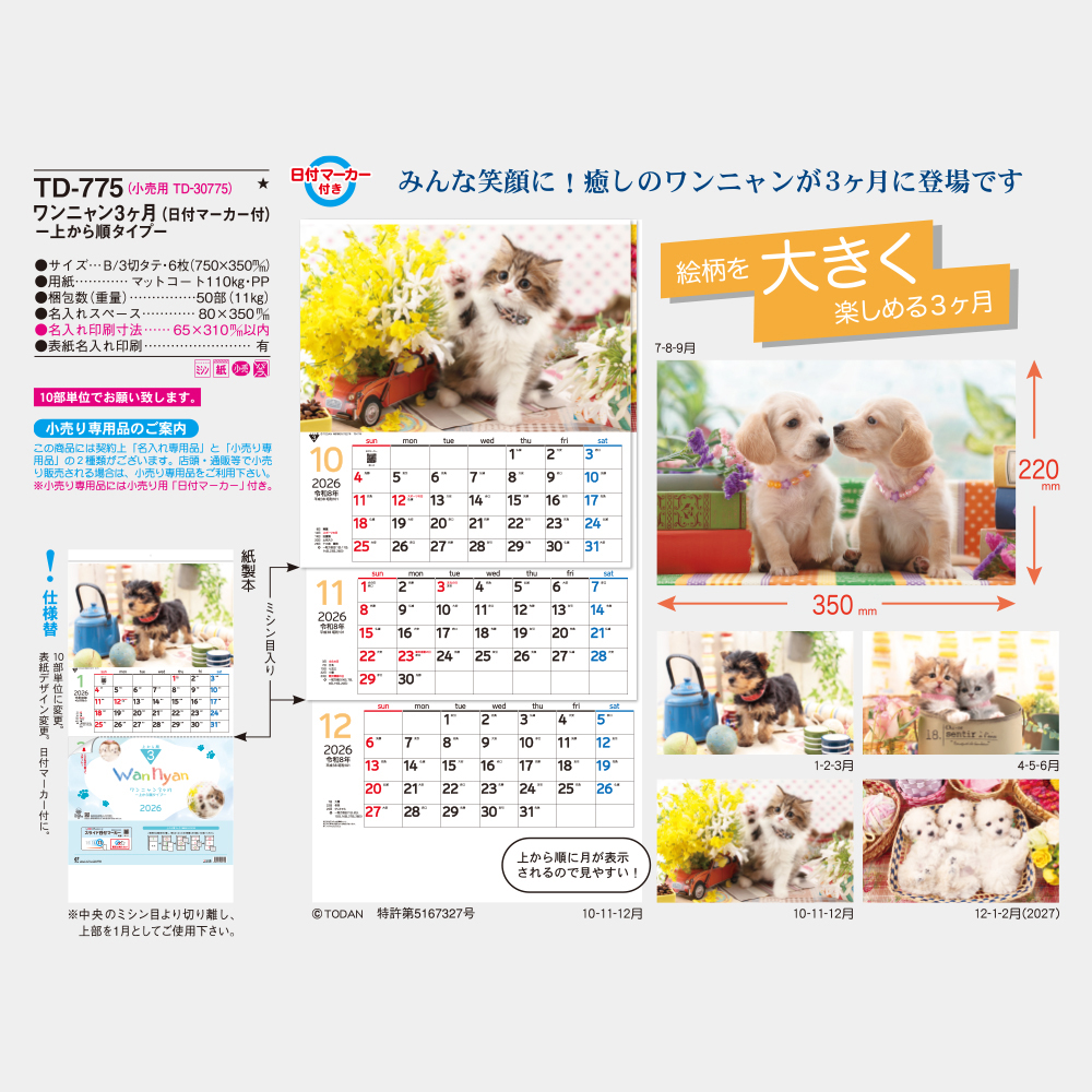 TD-775　ワンニャン3ヶ月 上から順タイプ 3