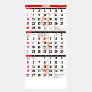 TD-795 3ヶ月文字(15ヶ月)下から順タイプ 1