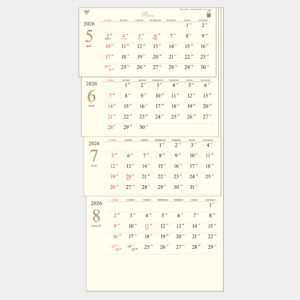 TD-797 プレミアム4ヶ月 上から順タイプ 1