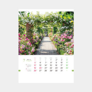 TD-825　イングリッシュ・ガーデン・コレクション 1