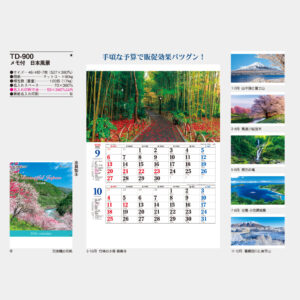 TD-900　メモ付 日本風景 3