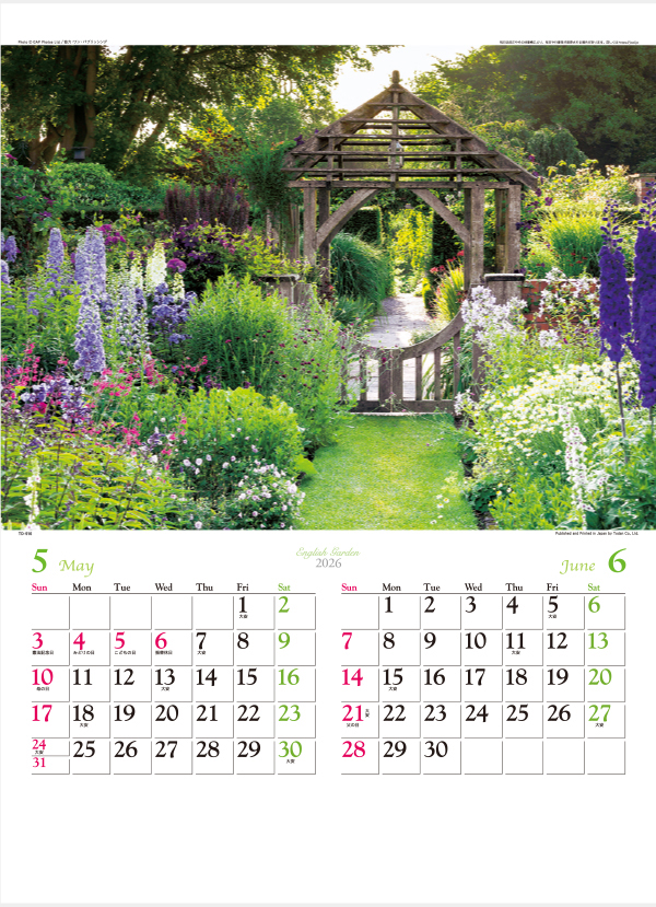 TD-916 イングリッシュ・ガーデン