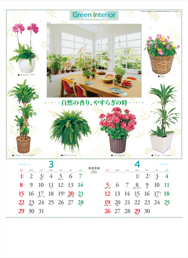 TD-917 観葉植物と暮し