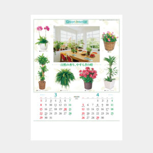 TD-917　観葉植物と暮し 1