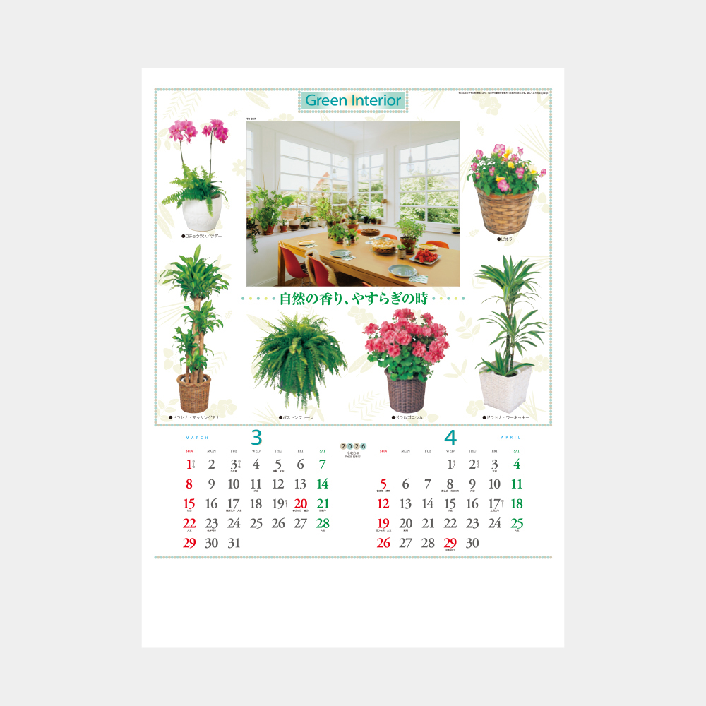 TD-917　観葉植物と暮し 1