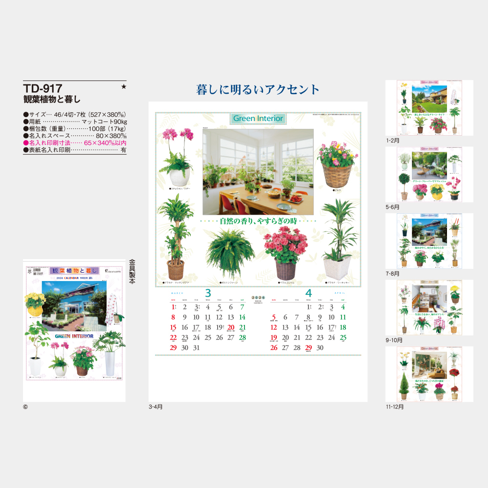 TD-917　観葉植物と暮し 3