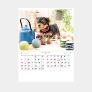 TD-931 ワンニャン・パーク 1