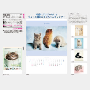 TD-934　ラヴ・キャット ～レイチェル・ヘイル作品集～ 3