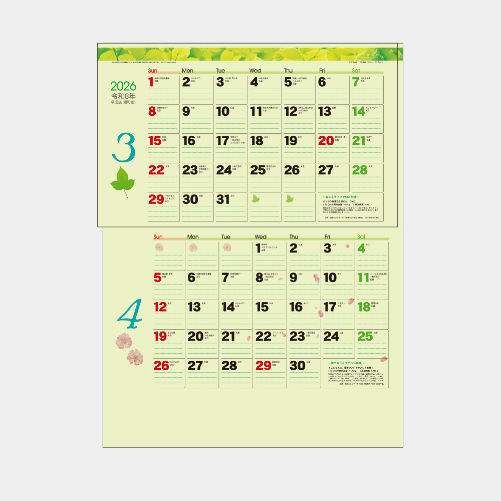 TD-944 グリーン2ヶ月eco(15ヶ月) 1