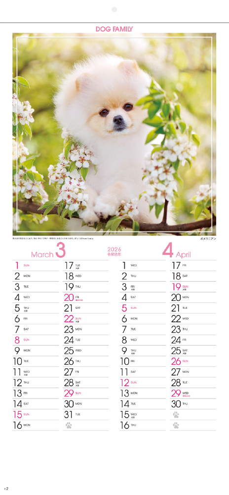 YG-33 ドッグファミリー