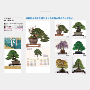 YK-624 銘樹(盆栽) 2