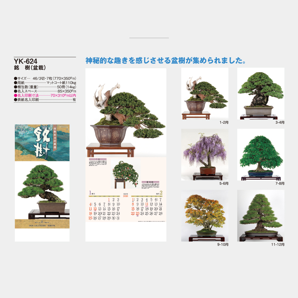 YK-624 銘樹(盆栽) 2