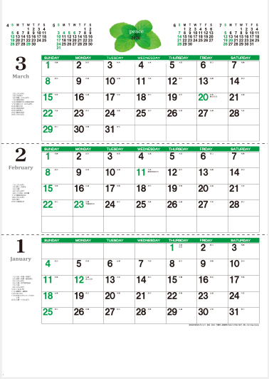 YK-752 ピース（3ヵ月）