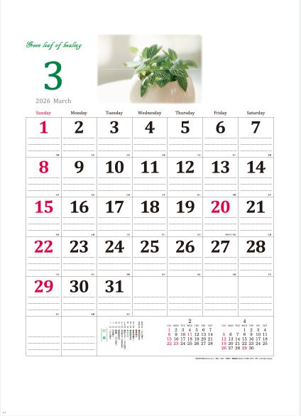 YK-827 グリーンリーフ