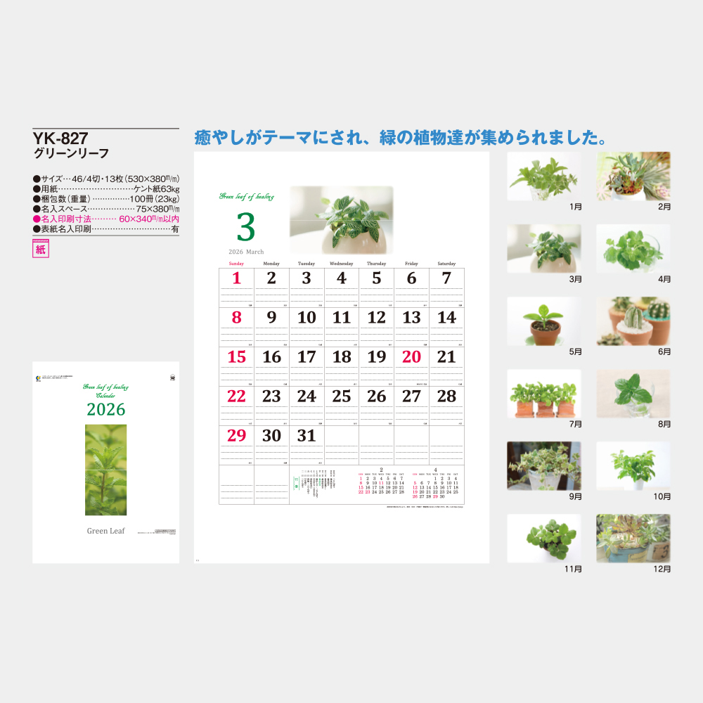 YK-827 グリーンリーフ 1